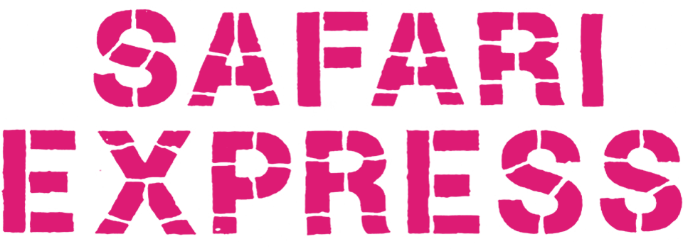 Safari express - Film Mediaset Infinity