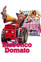 Il bisbetico domato