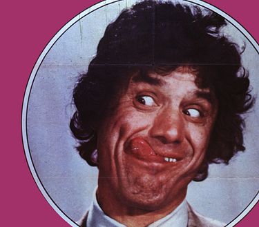 Il gatto di Brooklyn aspirante detective