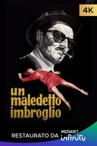 Un maledetto imbroglio