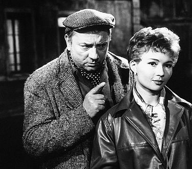 Quartiere dei lilla'