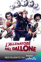 L'allenatore nel pallone