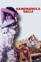 Campagnola bella