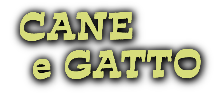 Cane e gatto - Film Mediaset Infinity