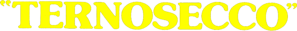 Ternosecco - Film Mediaset Infinity