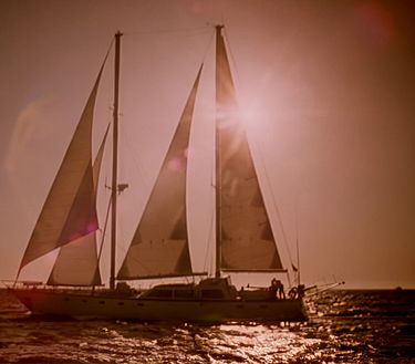 Skipper: Un uomo chiamato Achab