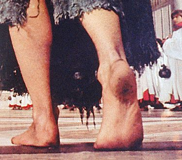 Fratello sole sorella luna