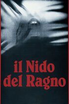 Il nido del ragno