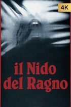 Il nido del ragno