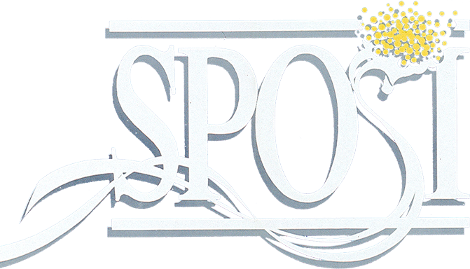 Sposi - Film Mediaset Infinity