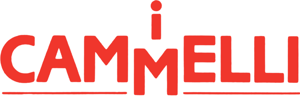 I cammelli - Film Mediaset Infinity