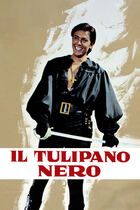 Il tulipano nero