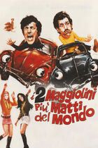 I due maggiolini più matti del mondo