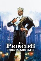 Il principe cerca moglie