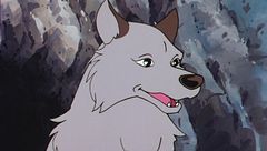 Ep. 18 - L'altra giungla