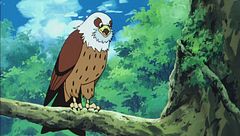 Ep. 30 - Canto di vittoria