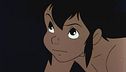 Ep. 43 - Aiuto Mowgli!