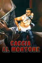 Caccia al montone