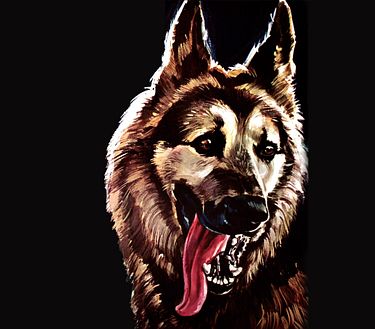 Il richiamo del lupo