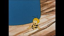 Ep. 19 - Maia e la mosca domestica