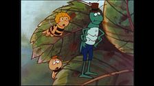 Ep. 21 - L'incendio nel bosco