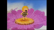 Ep. 35 - Concorso di bellezza