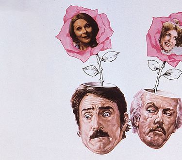 Son tornate a fiorire le rose