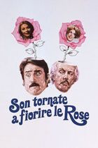 Son tornate a fiorire le rose