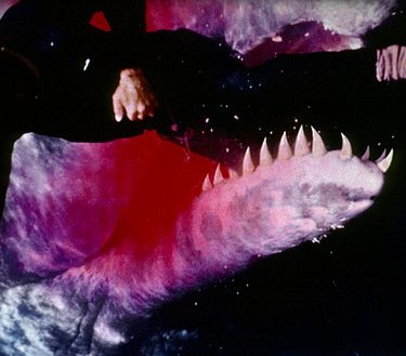 Cari mostri del mare