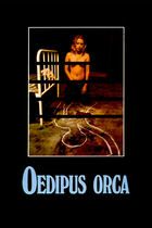 Oedipus orca