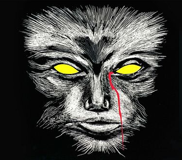 Il gatto dagli occhi di giada