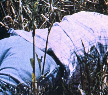 Amore mio non farmi male