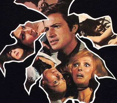 Sette orchidee macchiate di rosso