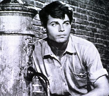 La giornata balorda