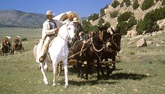 Ep. 2 - Il treno fantasma