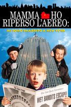 Mamma, ho riperso l'aereo: mi sono smarrito a New York