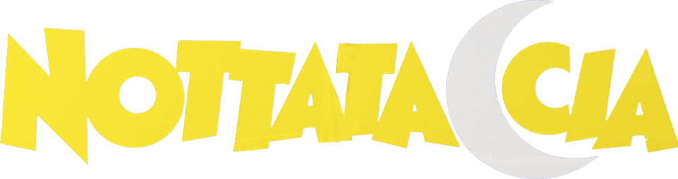 Nottataccia - Film Mediaset Infinity
