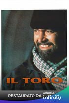 Il toro