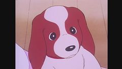 Ep. 35 - Il cucciolo