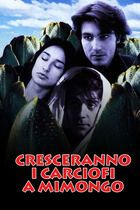 Cresceranno i carciofi a Mimongo