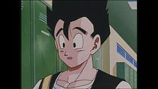 Ep. 48 - Gohan contro Videl