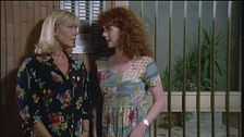 Episodio 6 - Suicidio assicurato