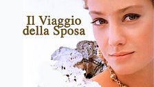 Il viaggio della sposa