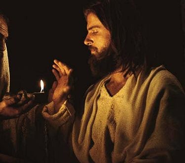 I giardini dell'eden