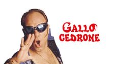 Gallo cedrone