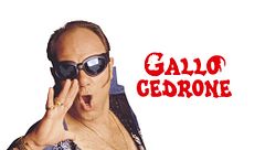 Gallo cedrone