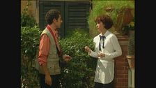 Episodio 8 - Lo scapolo d'oro