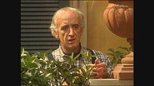Episodio 10 - A come gelosia