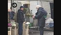 SORTINO: Culattone a Ferrara