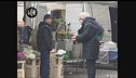 SORTINO: Culattone a Ferrara